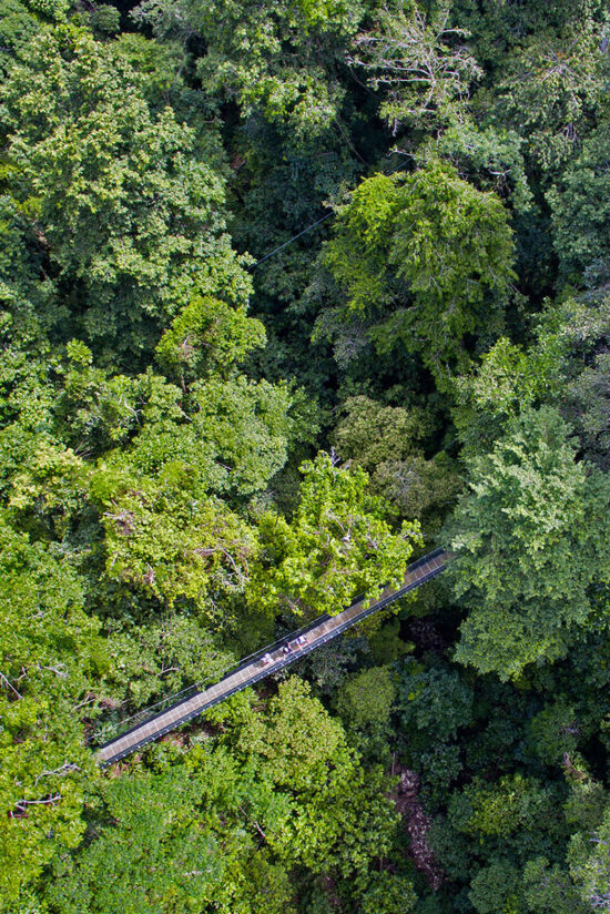 Suspension Bridges El Remanso Lodge